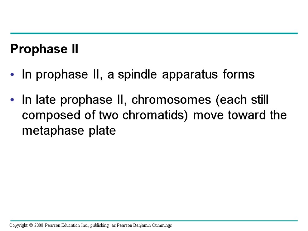 Prophase II In prophase II, a spindle apparatus forms In late prophase II, chromosomes